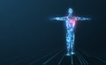 Human body low poly wireframe. Royalty Free Stock Photo